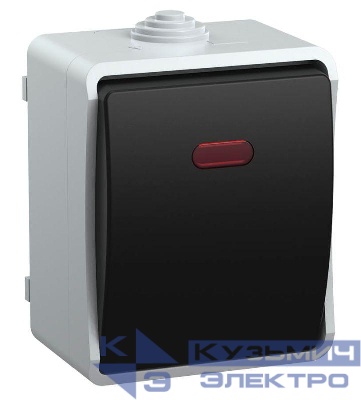 Выключатель проходной 1-кл. ОП Форс 10А IP54 ВС20-1-1-ФСр с индикацией сер. IEK EVS11-K03-10-54-DC