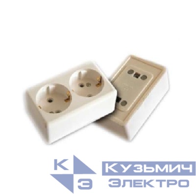 Розетка 2-м ОП 16А IP20 с заземл. с монтаж. панелью бел. БЕЛТИЗ РА 16-017