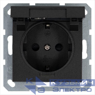 Розетка 1-м Shuko 16А IP20 с заземл. защ. шторки с крышкой механизм антрацит Jasmart G5505B