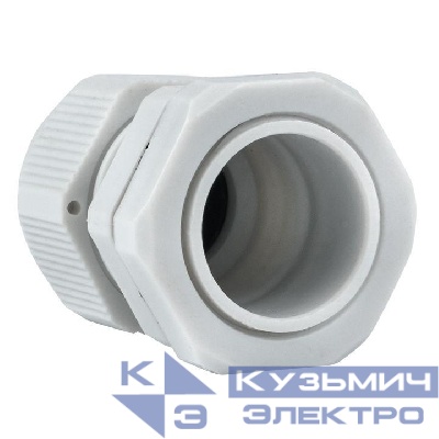 Ввод кабельный (сальник) PG13.5 IP54 EKF plc-pg-13.5