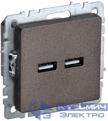 Розетка BRITE USB A+A 3.1А РЮ10-1-БрТБ механизм бронза IEK BR-U21-D31-K45
