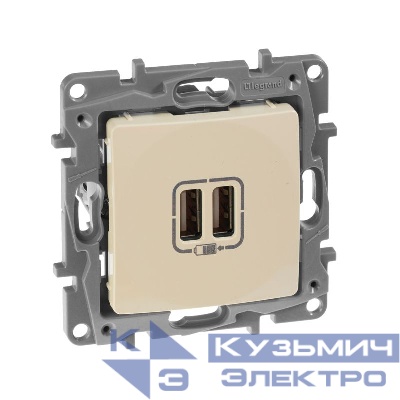 Розетка USB 2-м СП 2мод. Etika 240В/5В 2400мА механизм сл. кость IEK 672394