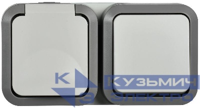 Блок ОП розетка + выключ. горизонт. TORS 16А IP55 TS242 бел. IEK TS-G10-6-55-V-K41