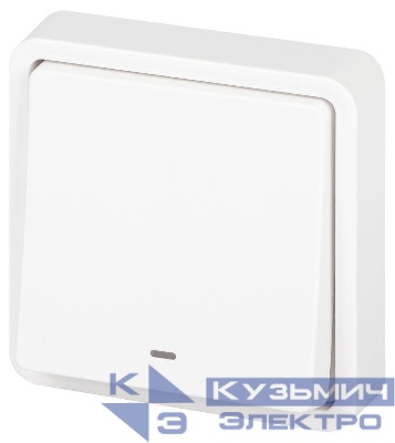 Выключатель Эксперт 11-1522-01 с подсветкой IP55 10АХ-250В СУ бел. Эра Б0063279
