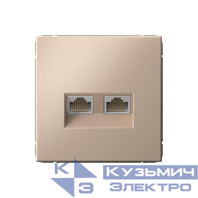 Розетка двойная компьютерная ArtGallery RJ45+RJ45 кат. 6A механизм песочн. SE GAL001288