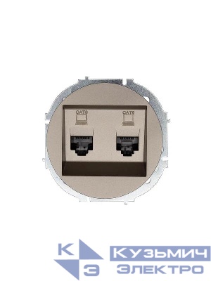 Розетка компьютерная 2-м СП OSEN кат.6 с модулем механизм титан LEZARD 743-3788-142