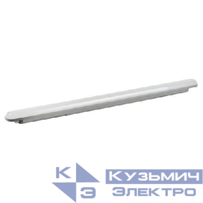 Светильник светодиодный SPP-202-0-65K-EL36 36Вт 6500К IP65 1200мм с БАП 1ч матов. Эра Б0066937