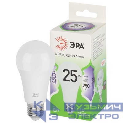 Лампа светодиодная GREEN LINE A60-25W-865-E27 GL 25Вт груша 6500К свет холод. E27 Эра Б0067111