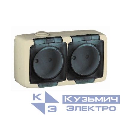 Розетка 2-м ОП Альфа 16А IP44 250В брызгозащ. без заземл. без защ шторок с крышкой сл. кость HEGEL РА16-241-01