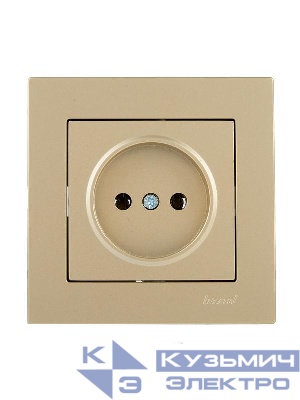 Розетка VESNA без заземл. ПБТ зол. LEZARD 742-3688-121B