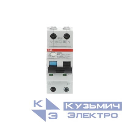 DS201 B10 A30 Автоматический выключатель дифференциального тока 2CSR255180R1105