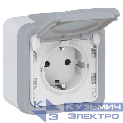 Розетка 1-м ОП Plexo 16А IP55 2P+E с крышкой немецк. стандарт винт. клеммы сер. Leg 069733