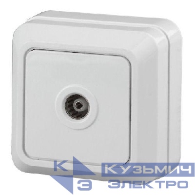 Розетка телевизионная одиночная TV ОП Quadro 2-301-01 IP20 бел. Intro Б0027658