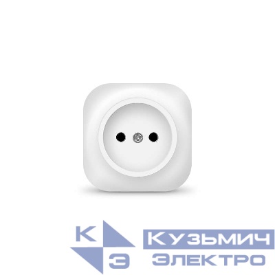 Розетка 1-м ОП 10А IP20 без заземл. бел. IONICH 1415