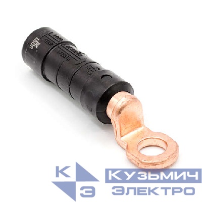 Наконечник изолированный CPTAU 54 ВК 21800951