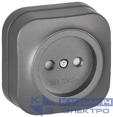 Розетка ОП GLORY РСш20-2-ХСм 10А без заземл. защ. шторки сталь матов. IEK ERH13-K46M-10
