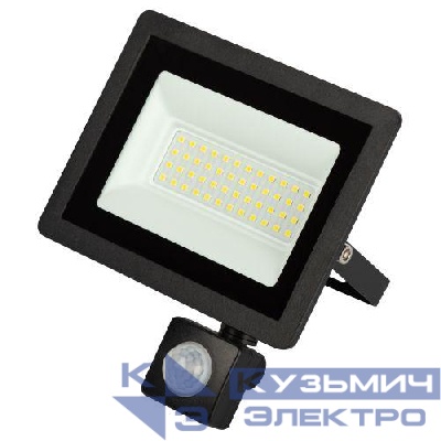 Прожектор светодиодный уличный LPR-042-2-65K-050 50Вт 6500К 4000лм IP44 регулируемый ИК датчик Эра Б0064292