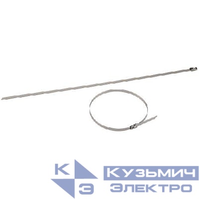 Хомут кабельный 4.6х200 сталь AISI 304 NO-225-247 (уп.10шт) Эра Б0066320