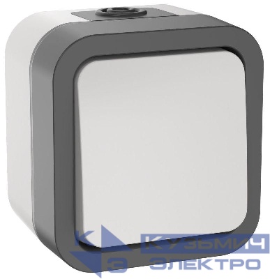 Выключатель 1-кл. 2п ОП TORS TS211 10А IP55 бел. IEK TS-V16-0-10-55-K41