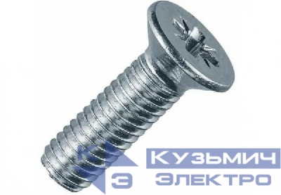 Винт с потайной головкой и крестообраз. шлицем 6х12 DIN 965 EKF wk6x12