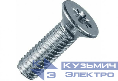 Винт с потайной головкой и крестообраз. шлицем 6х12 DIN 965 EKF wk6x12