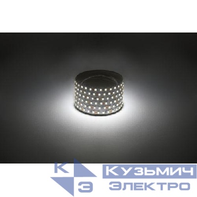 Лента светодиодная LS2835 9.6-120-12-4000K-IP20-1 year бел. (уп.5м) Эра Б0053968