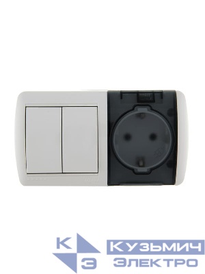 Блок ОП Nata (розетка евростандарт с заземл. с защ. крышкой + 2-кл. выкл.) IP20 бел. LEZARD 710-0200-171