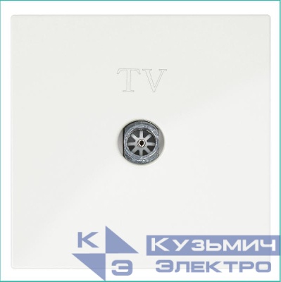 Розетка телевизионная оконечная TV 1-м СП FD Ф9.5мм с накладкой механизм сахара Jasmart FD6001SH