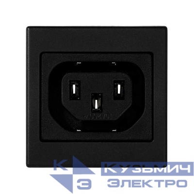Плата с 1-м разъемом "мама" IEC320 45х45мм графит Simon Connect K306A-14