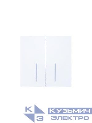 Выключатель 2-кл. с индик. СП ZIMA IP20 10А безвинт. зажим бел. LEZARD 704-0288-112QC