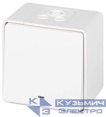 Выключатель Эксперт 11-1502-01 с подсветкой IP55 10АХ-250В ОУ бел. Эра Б0063305