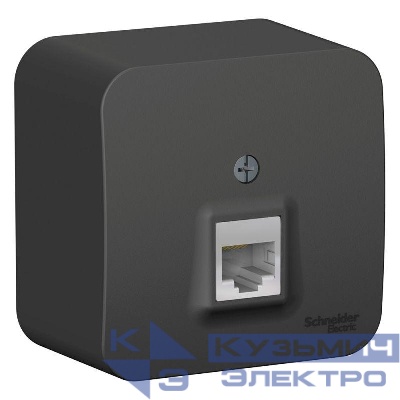 Розетка компьютерная 1-м ОП Blanca RJ45 кат.5E с изолир. пластиной антрацит SE BLNIA045006