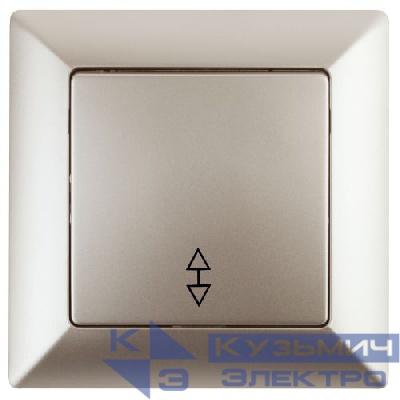 Переключатель 1-кл. СП Solo 4-103-04 10А 250В IP20 шампань Intro Б0053580