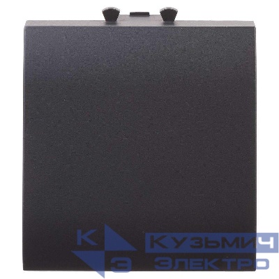 Вывод кабеля модульный Avanti 2мод. "Черный матовый" DKC 4412982