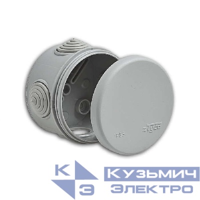 Коробка распределительная ОП 60х40мм IP55 Ruvinil 67010