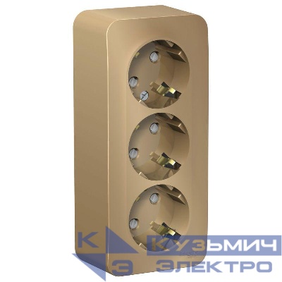 Розетка 3-м ОП Blanca 16А IP20 250В с заземл. защ. шторки с изолир. пластиной титан SE BLNRA011314