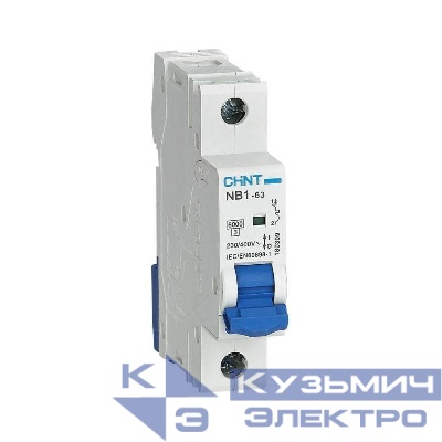 Выключатель автоматический модульный 1п B 1А 6кА NB1-63 (R) CHINT 179599