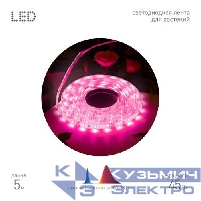 Лента светодиодная для растений FITO-Strip Light-RB-45W-5m-12V-IP65 красн.-син. спектра 5м IP65 с адаптером 12В Эра Б0064596