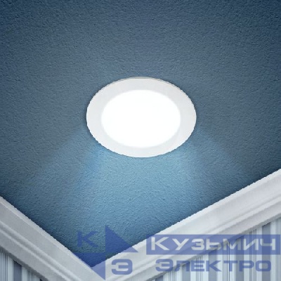 Светильник светодиодный 1-9 9Вт 220В 6500К круглый Эра Б0019832