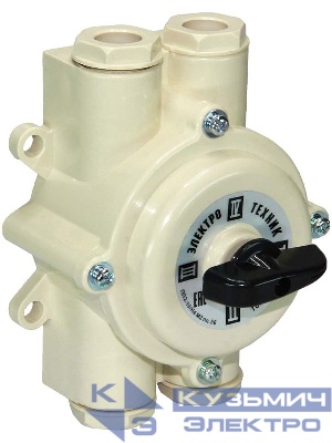 Переключатель пакетный ПП 2-16/Н4 М2 пл. 56 16А; пластмассовый корпус; IP56 Электротехник ET008596