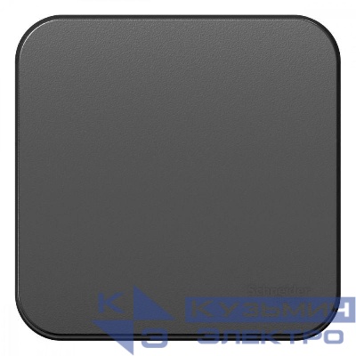 Выключатель 1-кл. ОП Blanca 10А IP20 (сх. 1) 250В с изолир. пластиной антрацит SE BLNVA101016