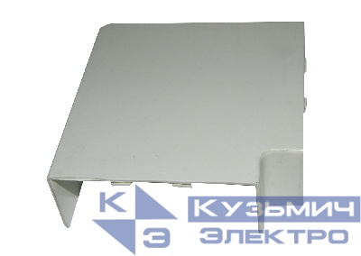 Угол плоский 100*40 "ТПЛ"