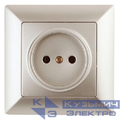 Розетка 1-м СП Solo 4-201-04 2P 16А 250В IP20 без заземл. шампань Intro Б0053644