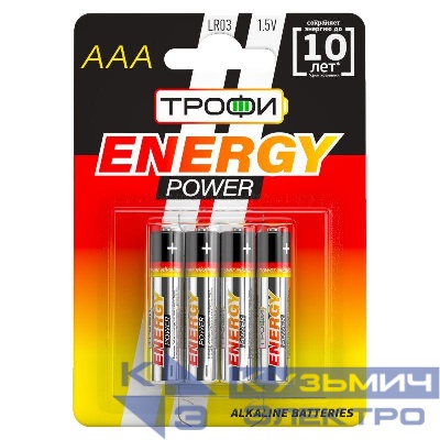 Элемент питания алкалиновый AAA/LR03 4BL (блист.4шт) Трофи C0034915