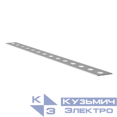 Полоса перфорированная 40мм L2000 2мм ПП40 К107 EKF pp402000-2
