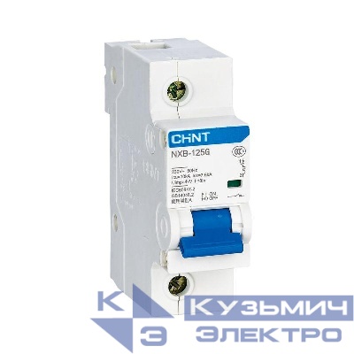 Выключатель автоматический модульный 1п C 125А 10кА NXB-125 (R) CHINT 816127
