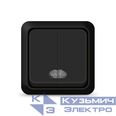 Выключатель 2-кл. ОП Олимп 10А IP20 с подсветкой черн. Universal 2214