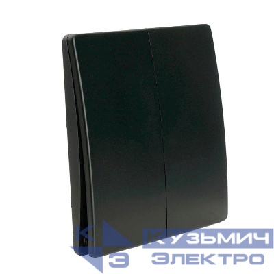 Выключатель дистанционного управления 2-кл. TM92 IP65 7мВт черн. FERON 51027