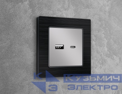 AP4110 Лицевая панель ALFA (Серебро глянец) для розетки 2USB тип A+C QUANT