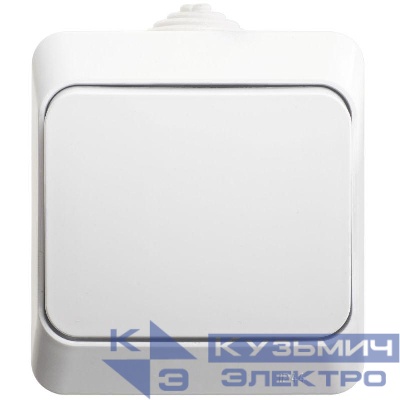 Переключатель проходной 1-кл. ОП Этюд 10А IP44 10AX бел. SE BA10-046B